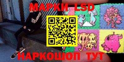 гашик Будённовск
