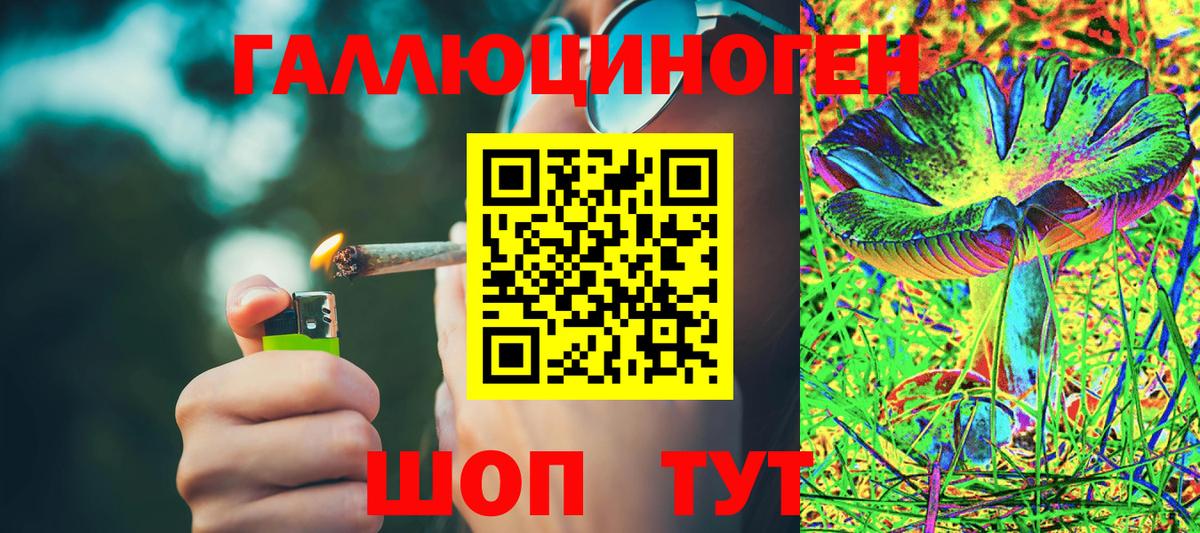 Псилоцибиновые грибы прущие грибы Узловая
